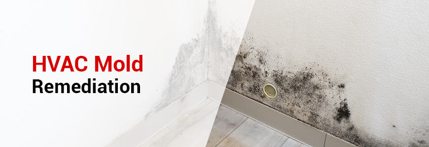 hvac mold