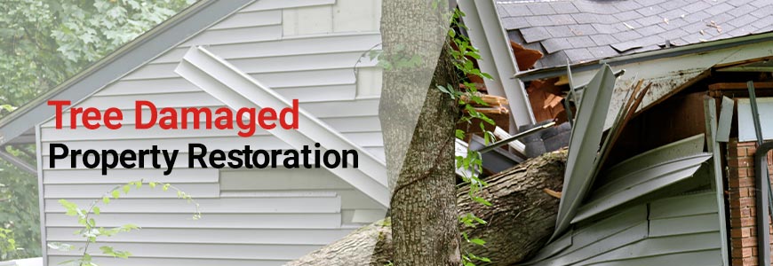 banner-img tree damage restoration