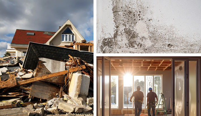 Disaster damage, mold, and construction services